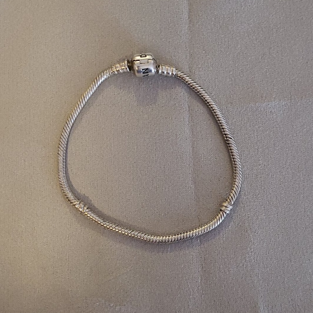 Pandora Bracelet